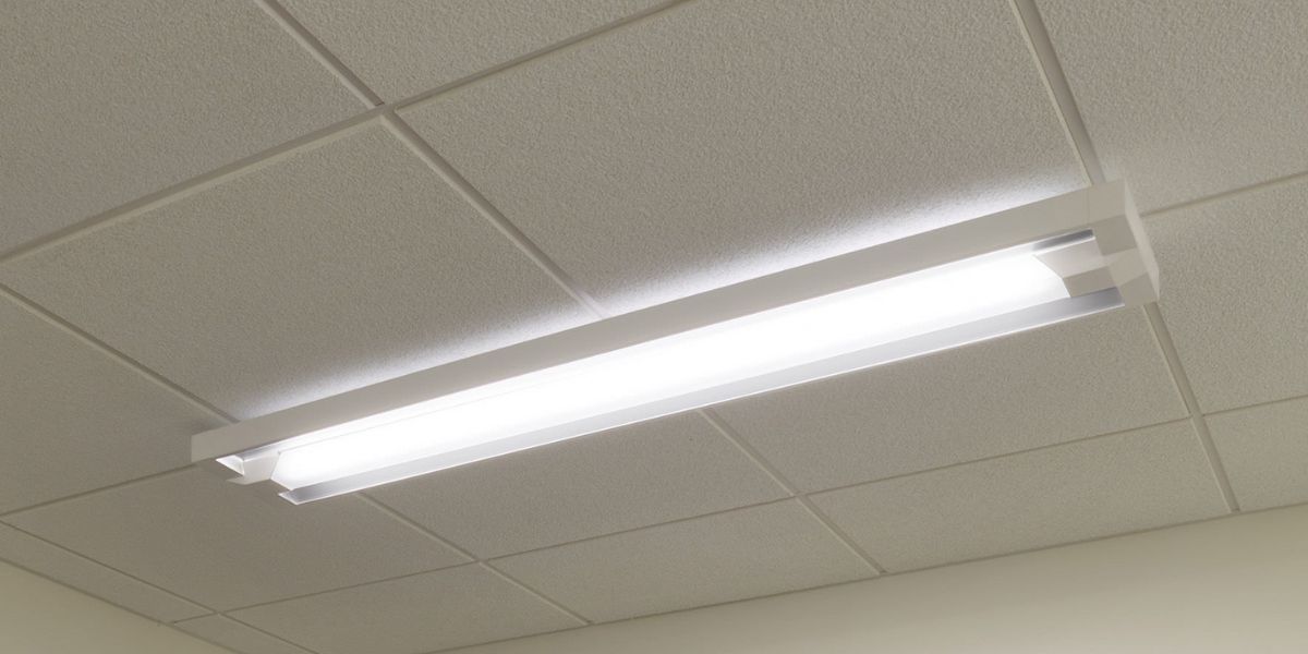 Some Amazing Customer Services Provided by Revolve LED